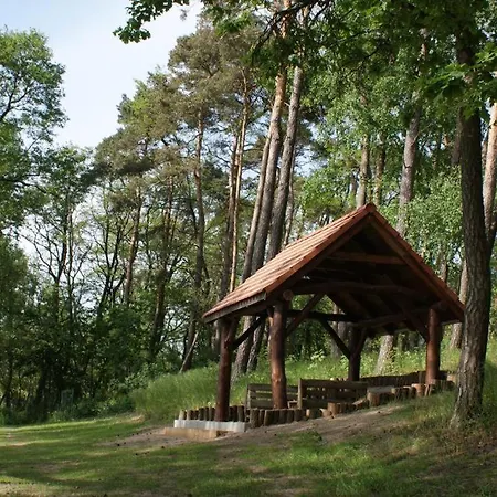 Jaskolcze Gniazdo Polwiosek Stary