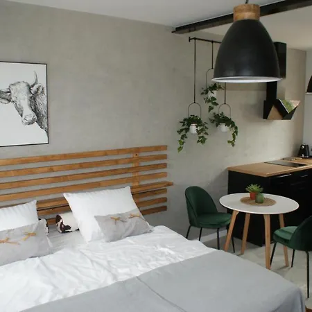 Jaskolcze Gniazdo Apartment Polwiosek Stary