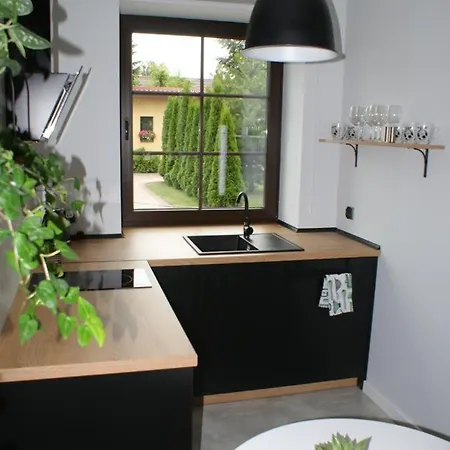 Jaskolcze Gniazdo Apartment Polwiosek Stary