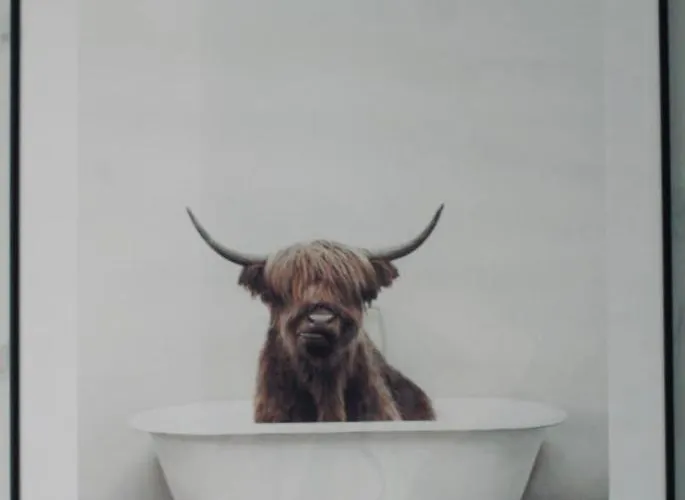 Jaskolcze Gniazdo Apartment Polwiosek Stary