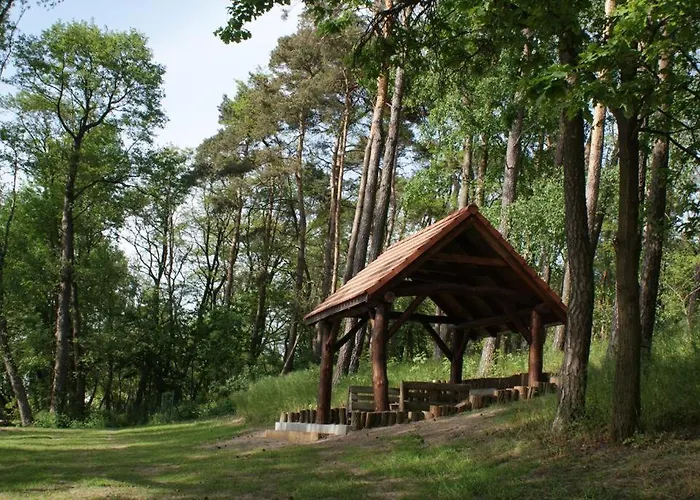 Jaskolcze Gniazdo Polwiosek Stary