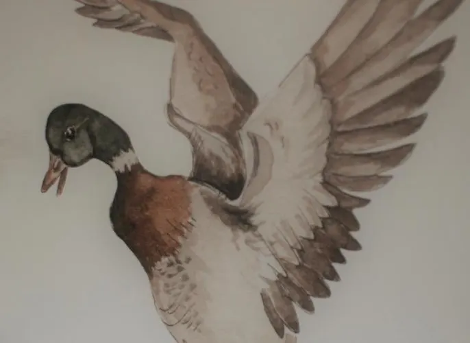 Apartment Jaskolcze Gniazdo